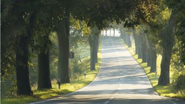 fotoregie landschaft allee